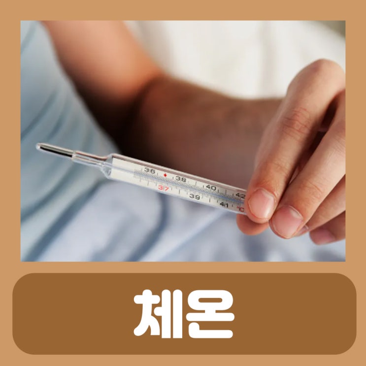  정상체온범위성인 : 평균 기초 적정 체온