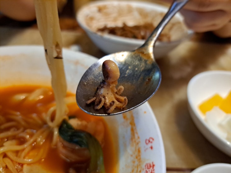 [홍린] 진짜 깔끔한 맛의 중국집 다음에 코스 한번 먹어야겠네 강서구청 중국집 맛집