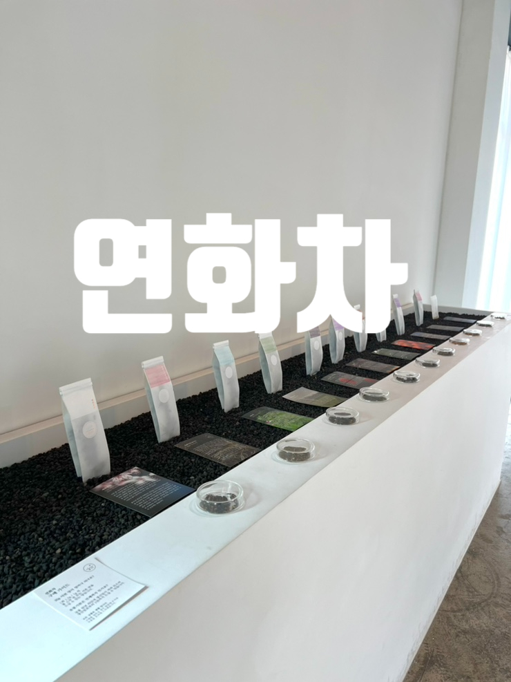  제주원데이티클래스 , 제주도티클래스 ,제주여자혼자가볼만 한 곳,조천티클래스,동쪽보이차,동쪽티클래스,"연화차"