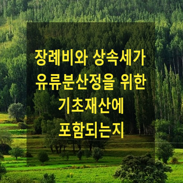  상속 - 장례비와 상속세가 유류분산정을 위한 기초재산에 포함되는지