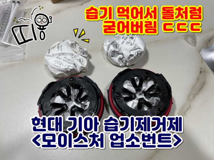  쏘렌토 MQ4 전조등 헤드라이트 습기 제거 모이스처 업소번트 교체 방법 DIY