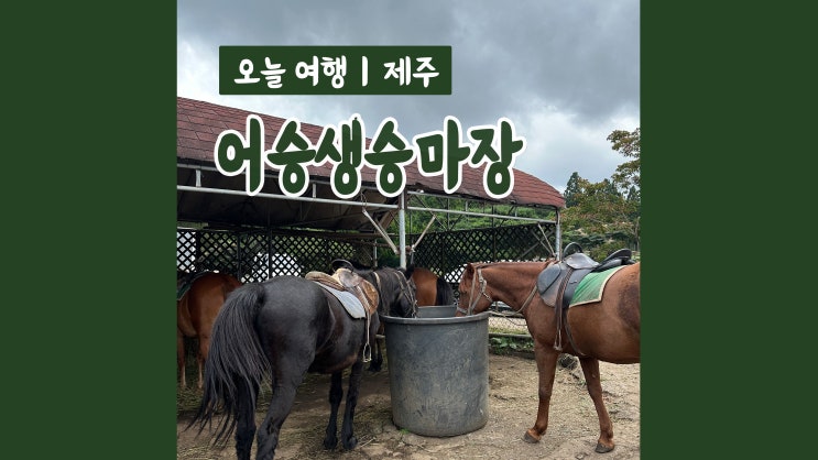 제주도2박3일여행코스 어승생승마장 제주승마체험 색다른 제주도관광 제주도2박3일여행코스 어승생승마장 제주승마체험 색다른 제주도관광
