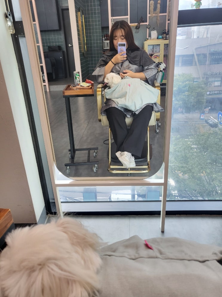  [서울.동작.사당] 애견동반 가능한 남성역 미용실 <라라엘헤어>