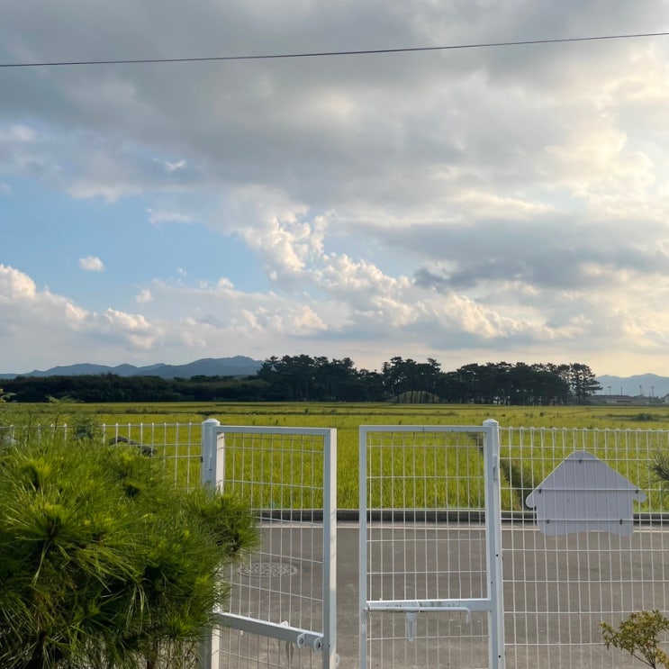  [경주 독채 펜션] 예예 펜션