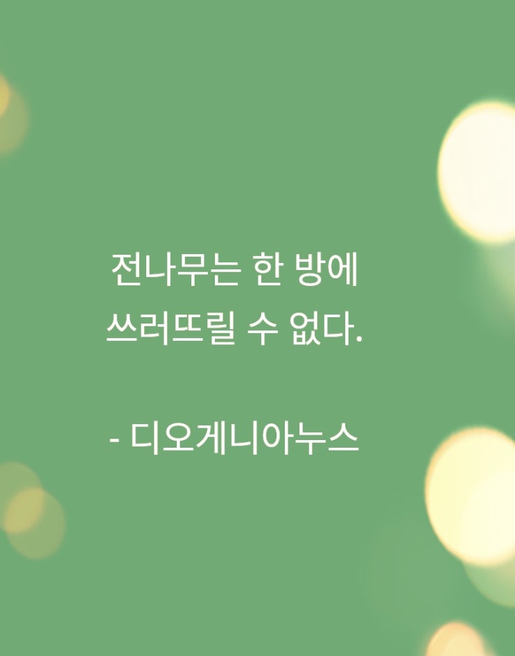 맥스마케터의오후의마타민 맥스마케터의오후의마타민