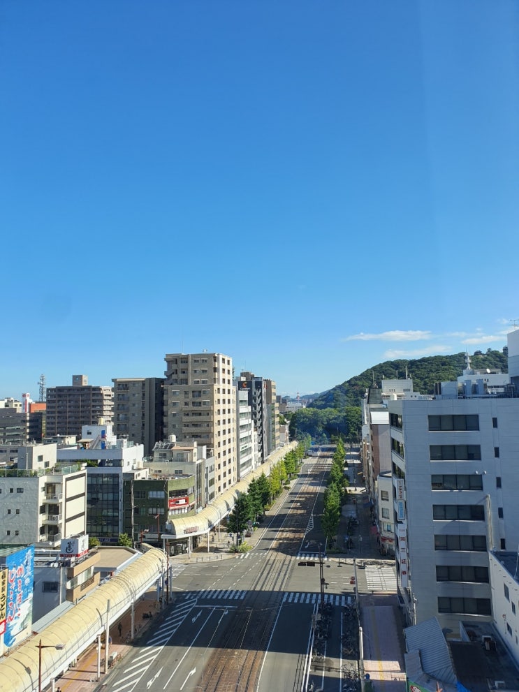  마쓰야마 REF 베셀호텔 조식 포함 후기