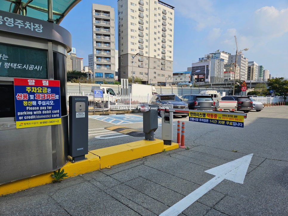 사보르페루아노 사진 5