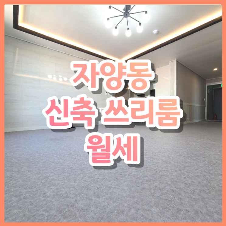  우송대, 대전보건대 인근 대전 동구 자양동 신축 쓰리룸 월세(에어컨4대, 가시성)