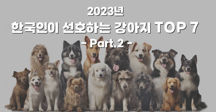 2023년 한국인이 선호하는 강아지 순위 TOP 7 (Part.2)
