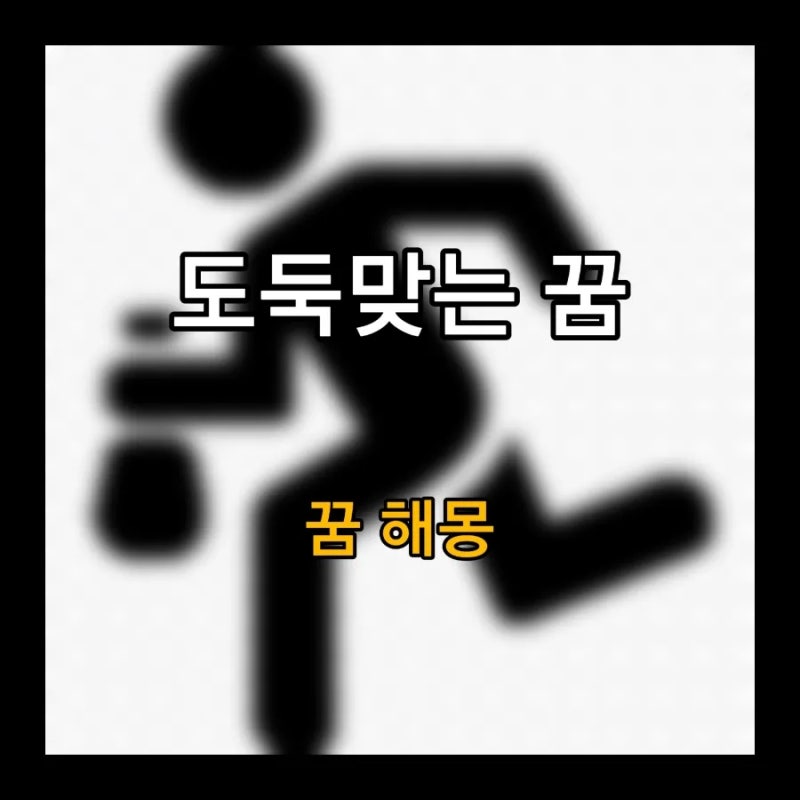 지갑 도둑맞는 꿈, 돈을 도둑 맞는 꿈, 도둑맞는 꿈 유형별 꿈 풀이 해몽