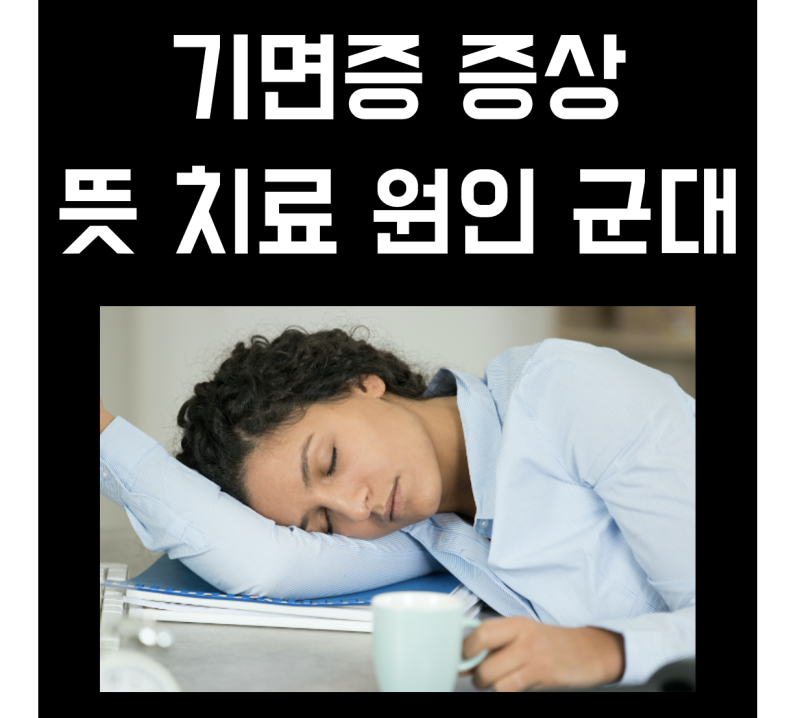 기면증 증상 뜻 치료 원인 군대