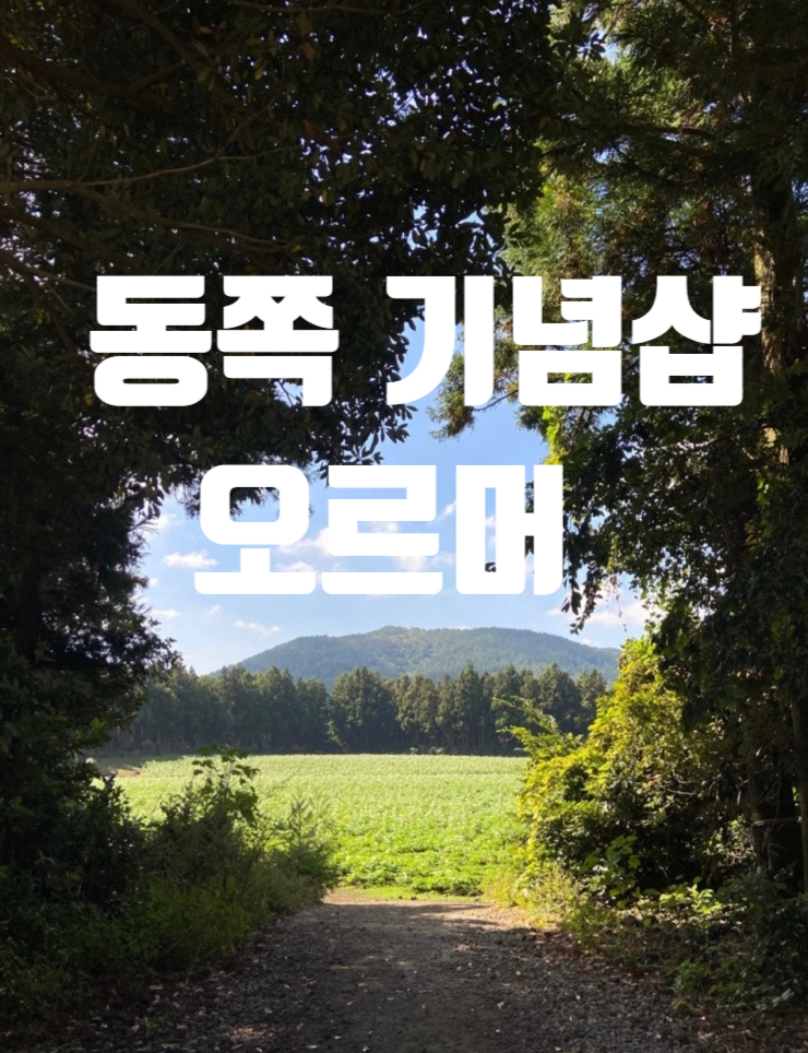  제주도 송당모끈모루, 동쪽소품샵 추천, 동쪽 비자림 ,소품샵 오르머 ,동쪽원데이요가