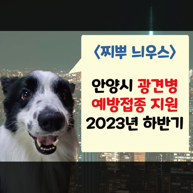(2023 하반기)안양시 강아지 광견병 예방 접종 안내