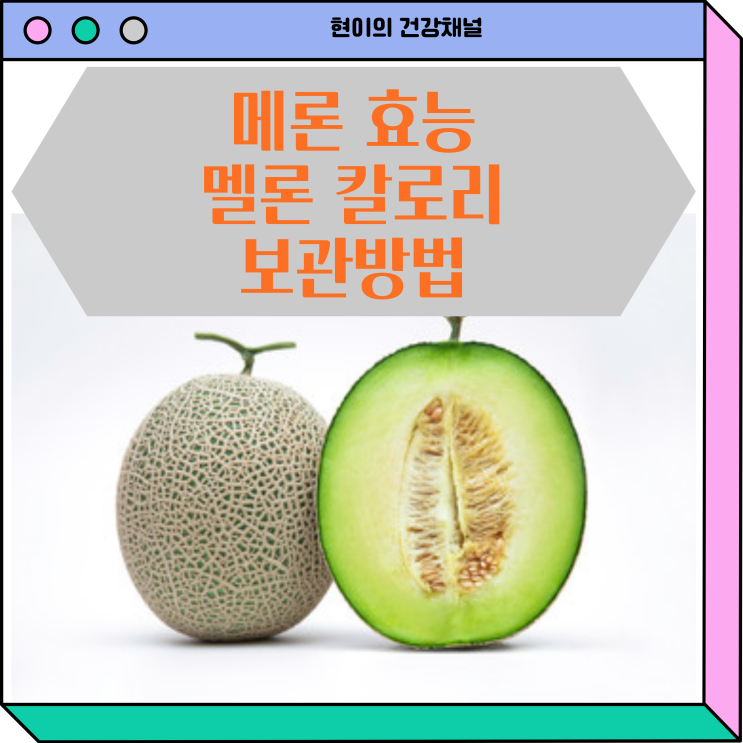  메론 효능 칼로리 멜론 보관방법 파악하기