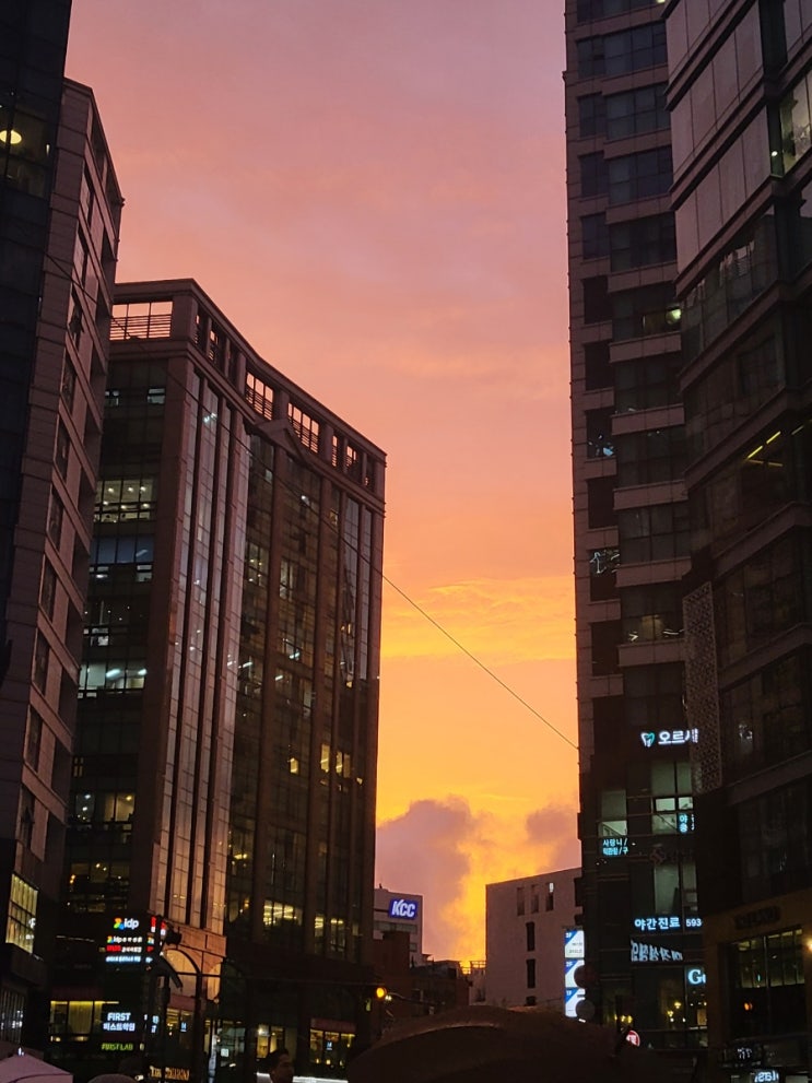  8월
