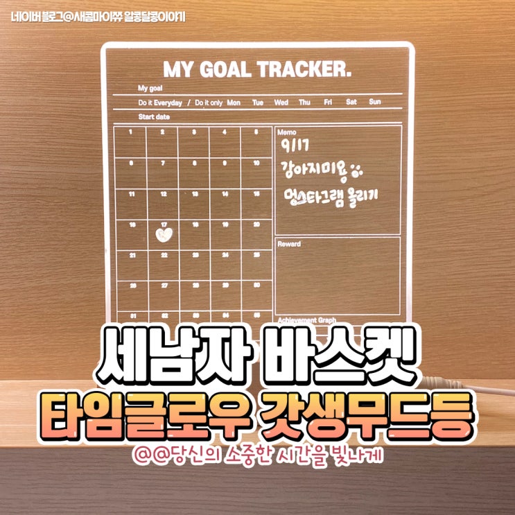  2만원대 특별한 선물 추천 타임글로우 갓생무드등 플래너 기능에 분위기까지