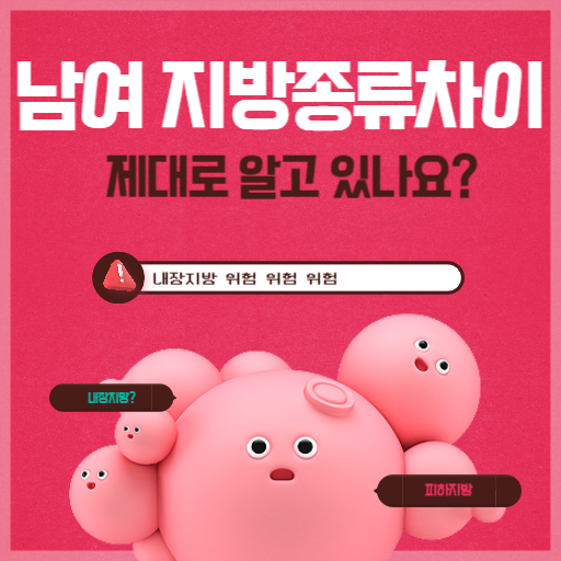  남자 지방 여자 지방의 차이 내장지방의 위험성