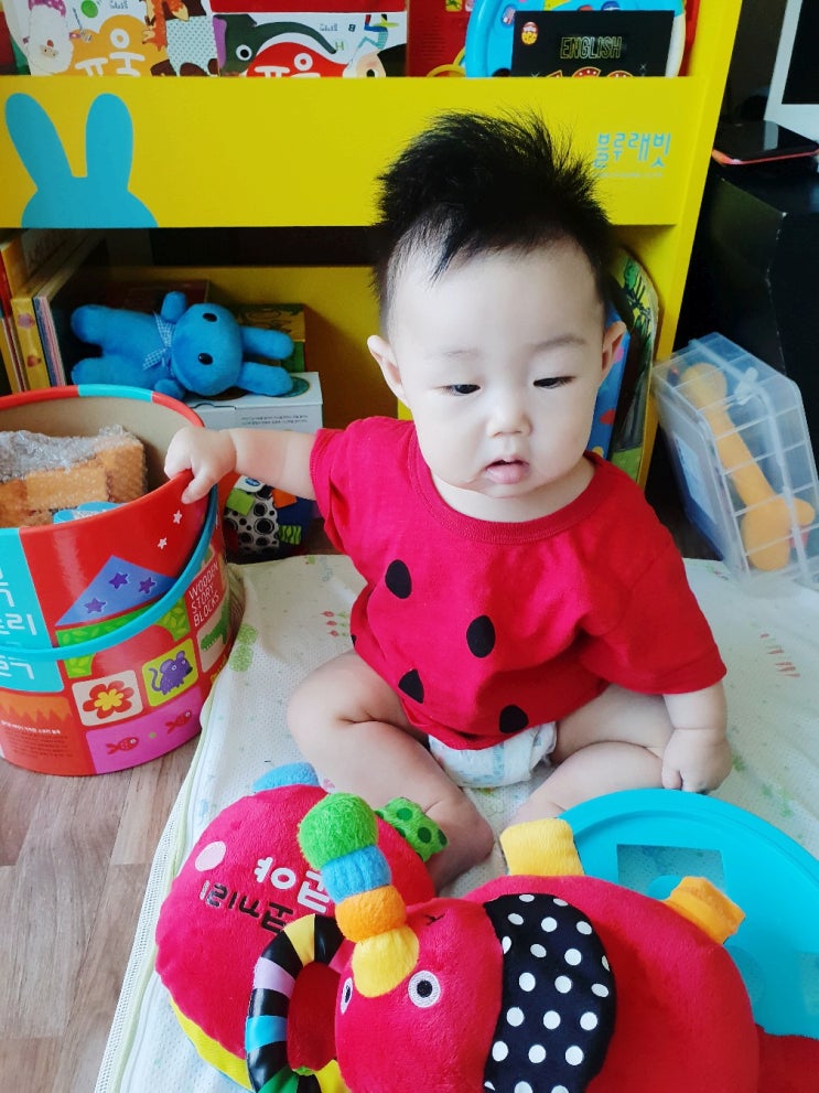  신생아 초점책 블루래빗 코야 아기 헝겊책 3개월 4개월 아기장난감