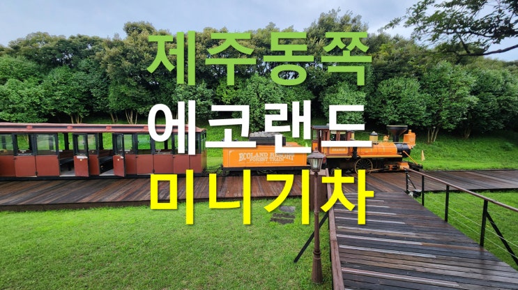 제주동쪽볼거리, 에코랜드 방문후기 - 제주기차여행