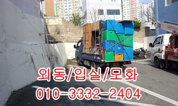 외동용달 모화 불국사 입실 양북 양남 감포 울릉도. 외동용달 모화 불국사 입실 양북 양남 감포 울릉도.