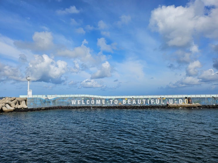 [제주도 2박 3일 여행] 당일치기 순환버스 우도 여행... 