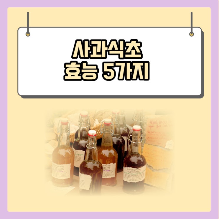  사과식초 효능 5가지 및 부작용 3가지 총정리