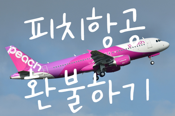  피치항공 환불 수수료 주의사항 꿀팁