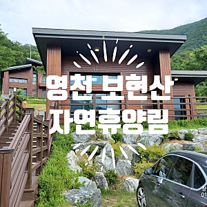 영천 보현산 자연휴양림 숲속의집 후기 / 바베큐가능/보현산댐 물놀이장