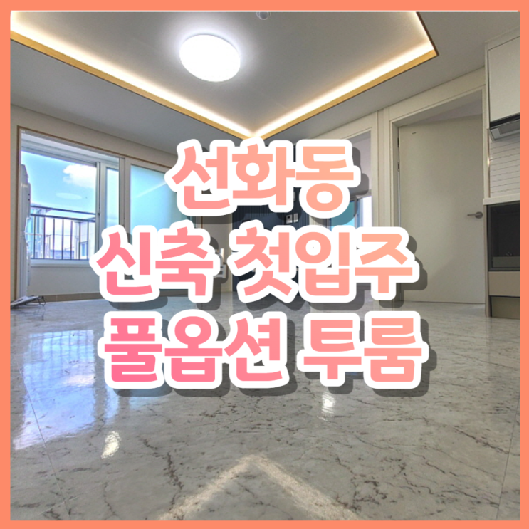 선병원 인근 대전 중구 선화동 신축 첫입주 풀옵션 투룸