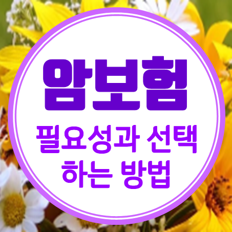  간편암보험 가입 방법 및 필요성