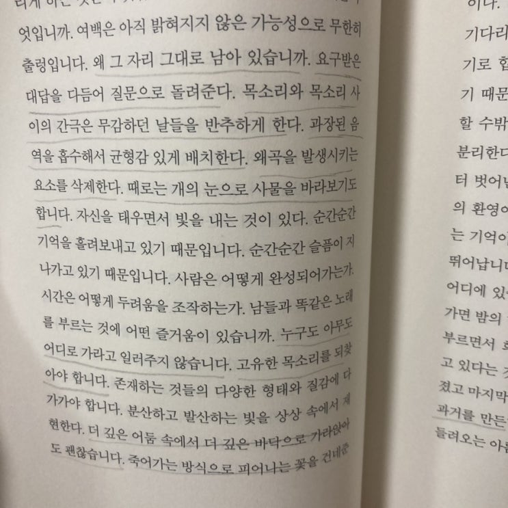 책 &lsquo;그리하여 흘려 쓴 것들&rsquo; (이제니)
