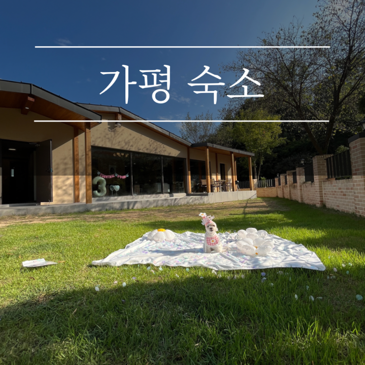  가평 애견 펜션 팔레드차밍 서울근교 독채 6만평 규모 풀빌라