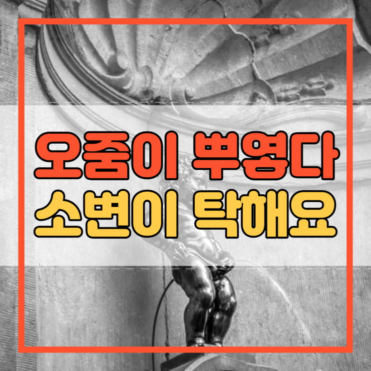  오줌이 뿌옇다 소변이 탁해요 새요 왜 그럴까요?