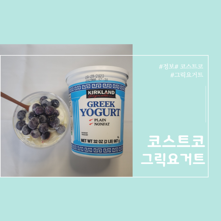 코스트코 커클랜드 그릭요거트 추천