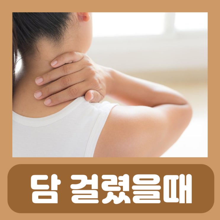  목 담 약 담 걸리는 이유 어깨 담 걸렸을때 증상 등 담 푸는법