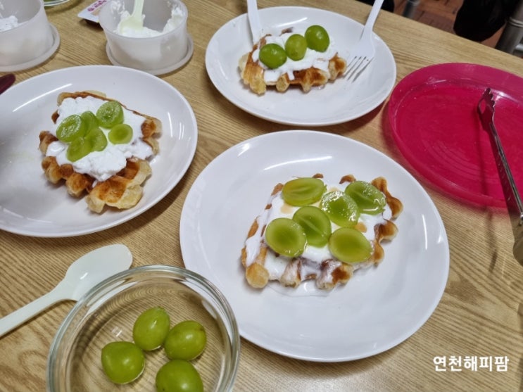  연천가볼만한곳 들꽃가람농장 포도 딸기 귤 사과따기 체험농장