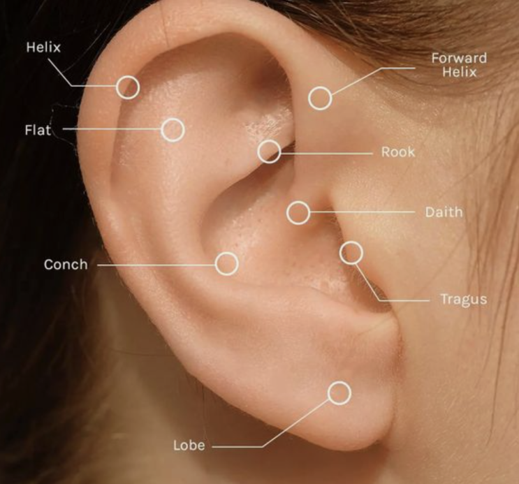 귀의 아름다운 변신: 이너컨츠 링, 트라거스, 아웃컨츠, 스너그 피어싱