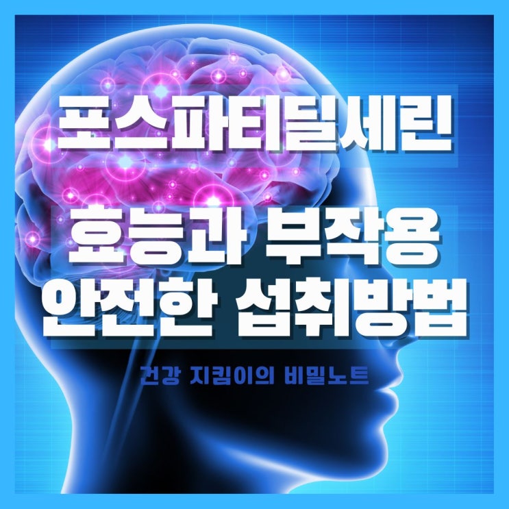  포스타디딜세린 효능과 부작용, 포스파티딜세린 안전한 섭취방법