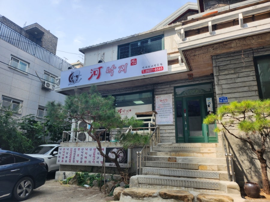 하낙지 사진 3