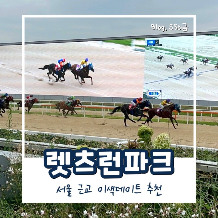  [과천] 렛츠 런 파크 : 서울 근교 이색 데이트하기 좋은 초보자 경마 공원 나들이 (꿀팁/룰/무료입장/게임 종류)