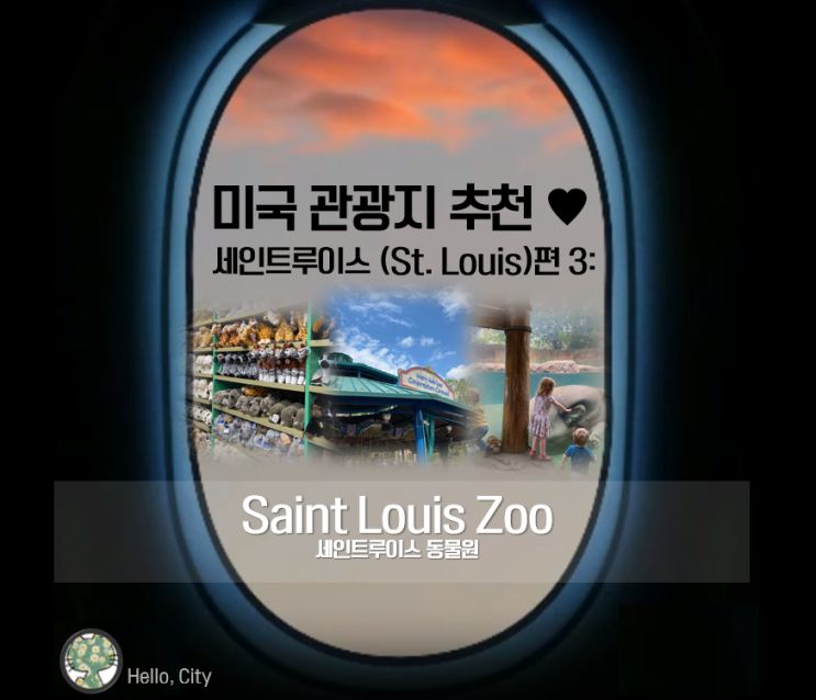 미국 가볼만한 곳 추천  세인트루이스편 3: St.Louis Zoo (세인트루이스 동물원)