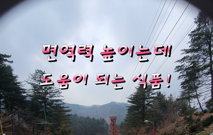 면역력 높이는데 좋은 식품! 면역력 높이는데 좋은 식품!