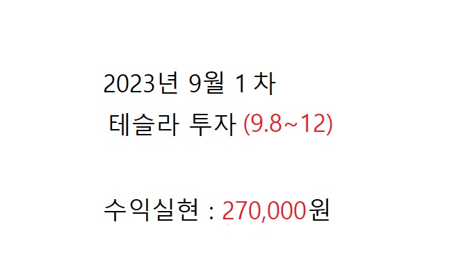  테슬라 2023년 9월 1회차 투자기록