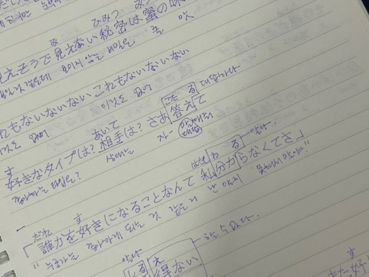  오늘의 감사한 일 5개