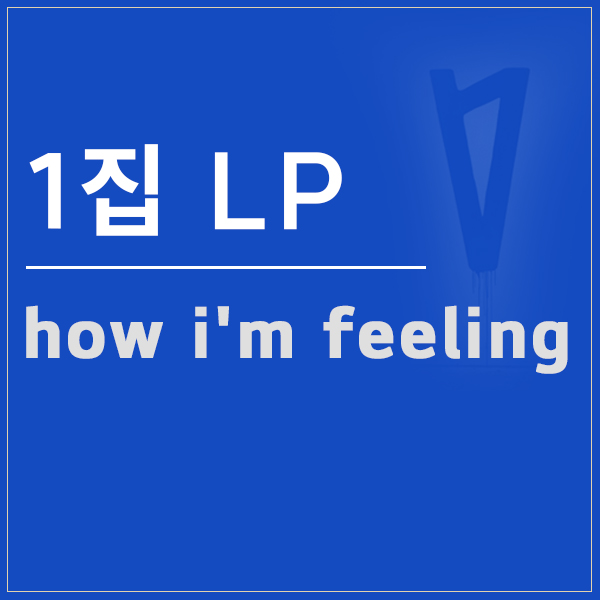  라우브 1집 how i'm feeling 한정판 LP, 곡 평가까지