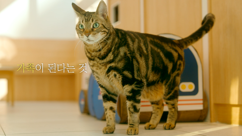 [부산 동물병원] 센텀동물메디컬센터 수영점 소개영상