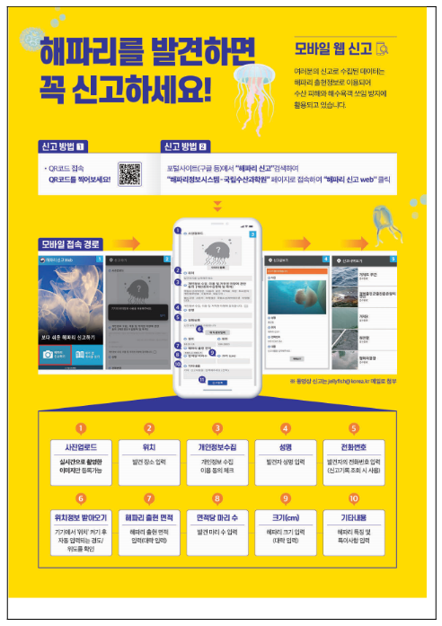 노무라입깃해파리 주의단계 특보 발령 노무라입깃해파리 주의단계 특보 발령