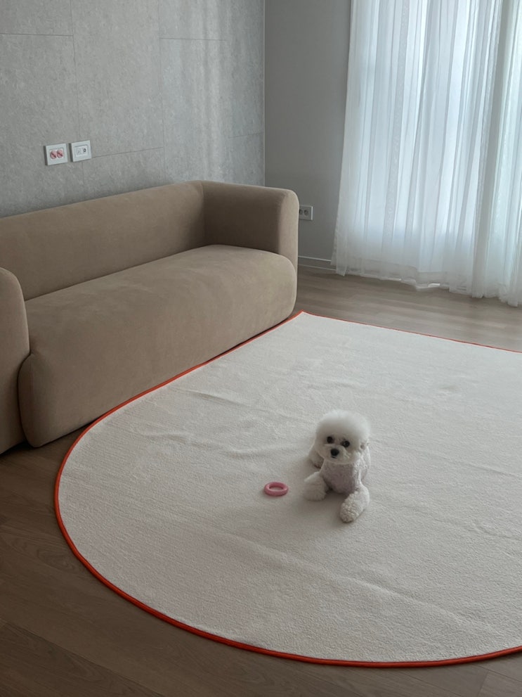  잭슨카멜레온 Mass Sofa 3인 마지칼 1003