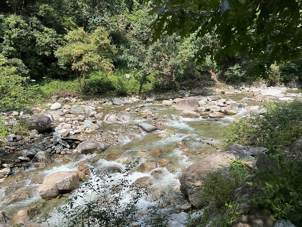 물소리펜션 사진 2