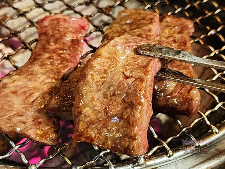 서귀포 법환동 맛집 와규 소고기 맛있는 구삼화로 후기